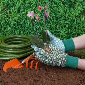 Leia mais sobre o artigo 5 Ferramentas Essenciais para Jardinagem: O Guia Definitivo para Iniciantes